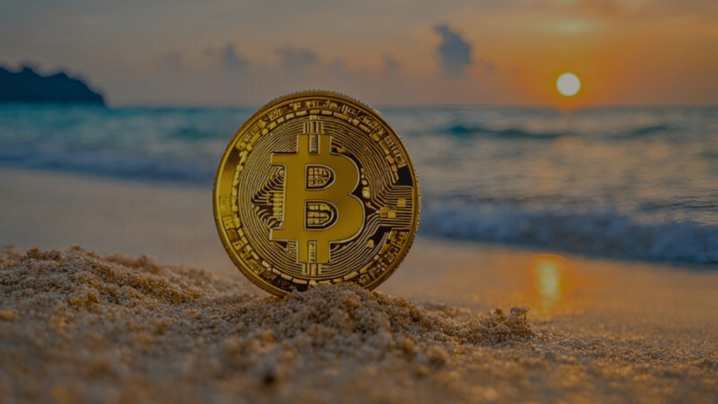 Cryptocurrency and Tourism in Sri Lanka : Exploring the Future of Travel